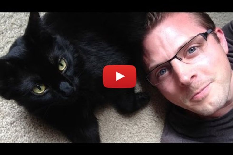 10 Signs You're a Crazy Cat Person! - Love Meow