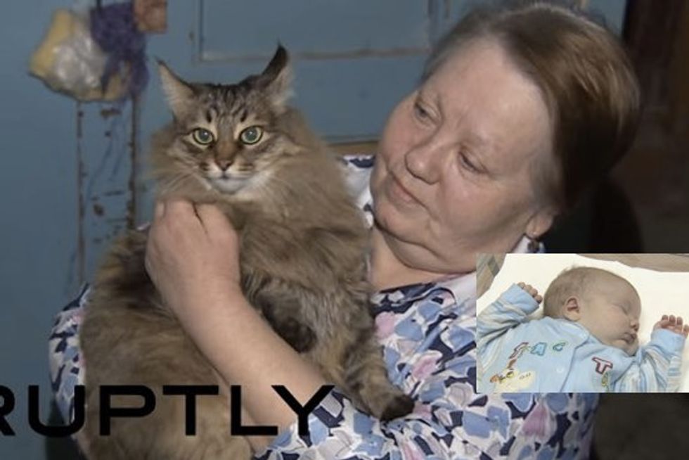 Masha the Cat Saves Abandoned Baby by Keeping Him Warm for Hours