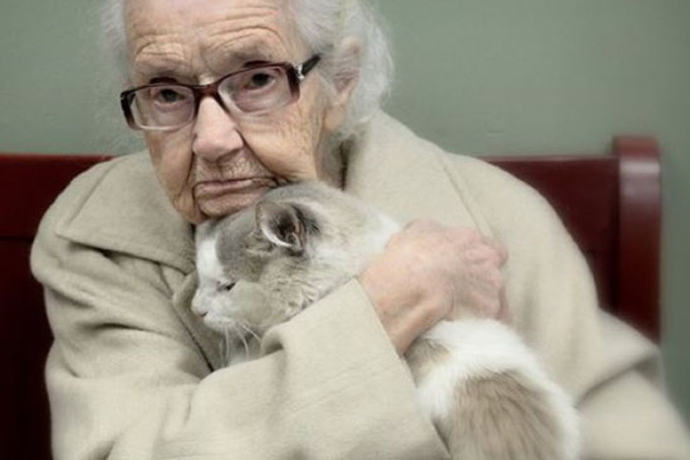 102-Year-Old Woman Fell In Love With A Shelter Cat