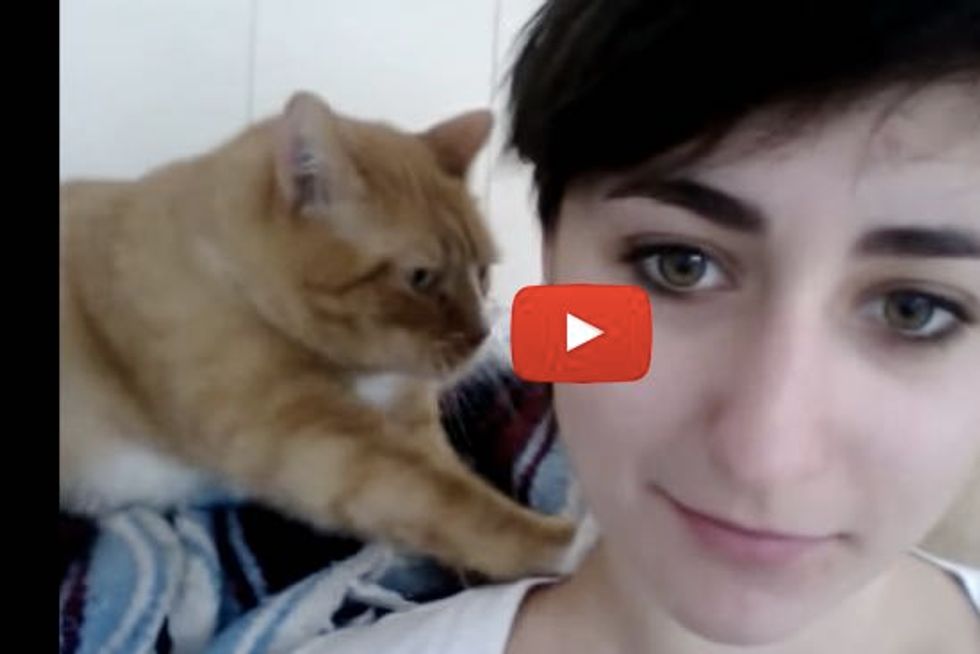 Kitty Gives His Human A Shoulder Massage and A Kiss