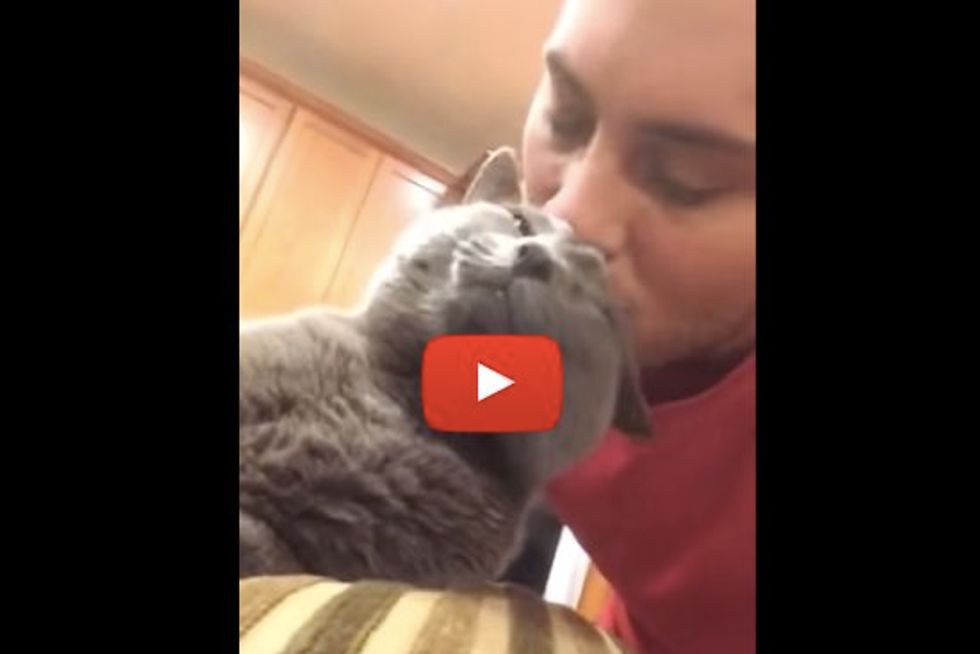 Cat Loves to Give His Human Kisses