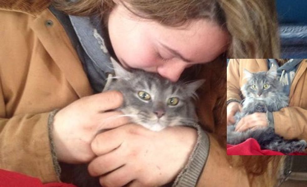 Valentino the Cat Found Covered in Snow and Ice, Has Bounced Back Remarkably!