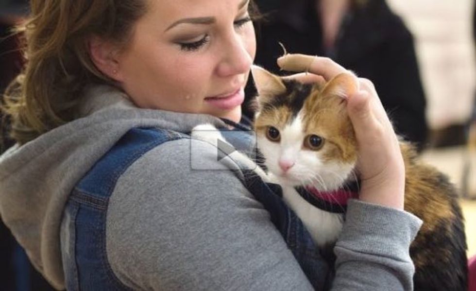 Emotional Reunion! Cleo the Calico Cat Reunited with Her Mom After Six Years