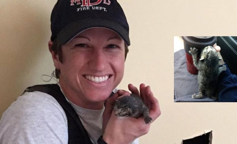 Firefighter Rescued This Kitten Twice! First by Freeing Him from a Wall...