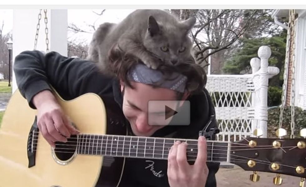 Cat Gets the Best Spot While Her Human Plays the Guitar