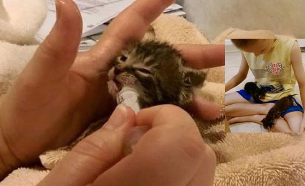 Three Boys Rescue Three Kittens from Drainage Pipe!