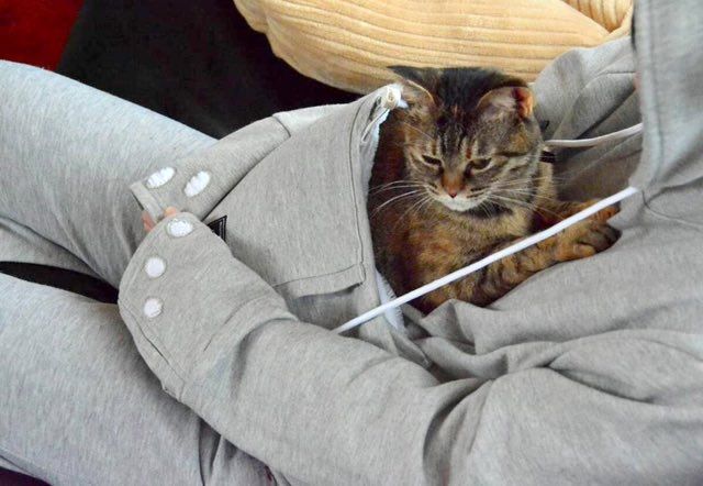 Cat snuggle outlet hoodie