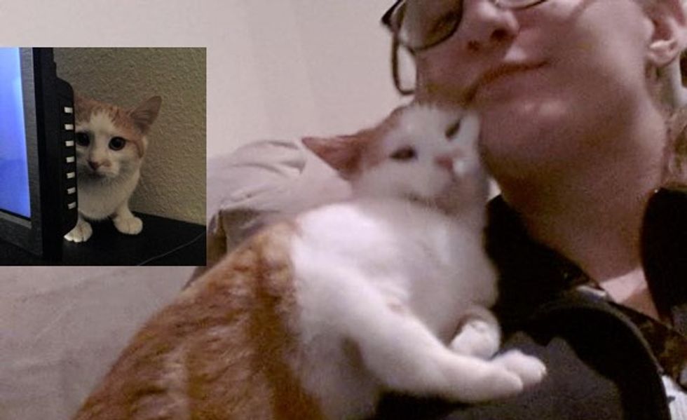 This Cat Goes from the Biggest Scaredy Kitty to the Most Loving Cat