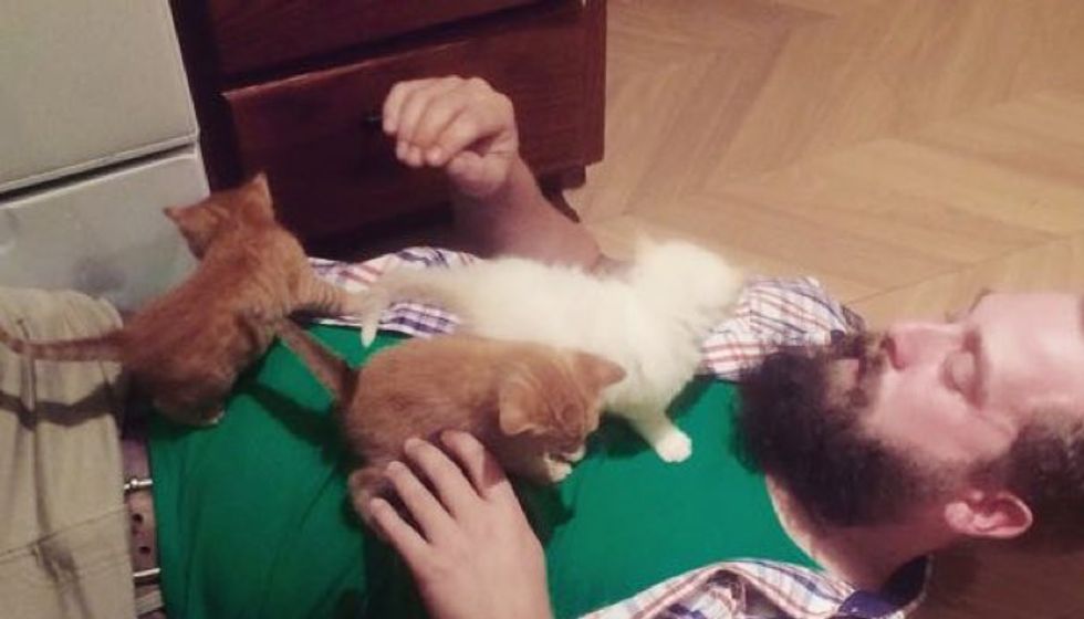 Bearded Guy Becomes Dad to Three Tiny Feral Kittens!