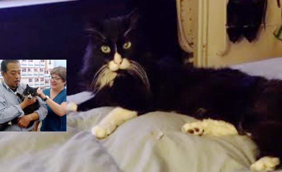 Buddy the 23-year-old Cat Reunited with His Human! There's More to the Story...