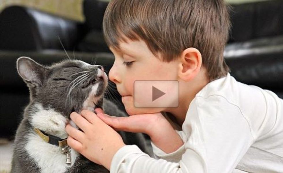 This is How Billy the Rescue Stray Transforms the Life of a Child with Autism