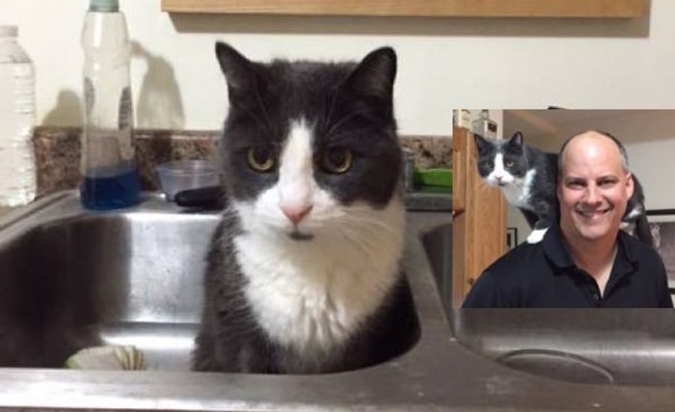 18 Year Old Cat Was Not Too Old to Find His Forever Loving Home!