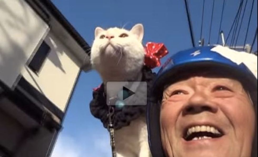 This Cat and His Old Man Go Motorcycling Together! Made My Day Completely!