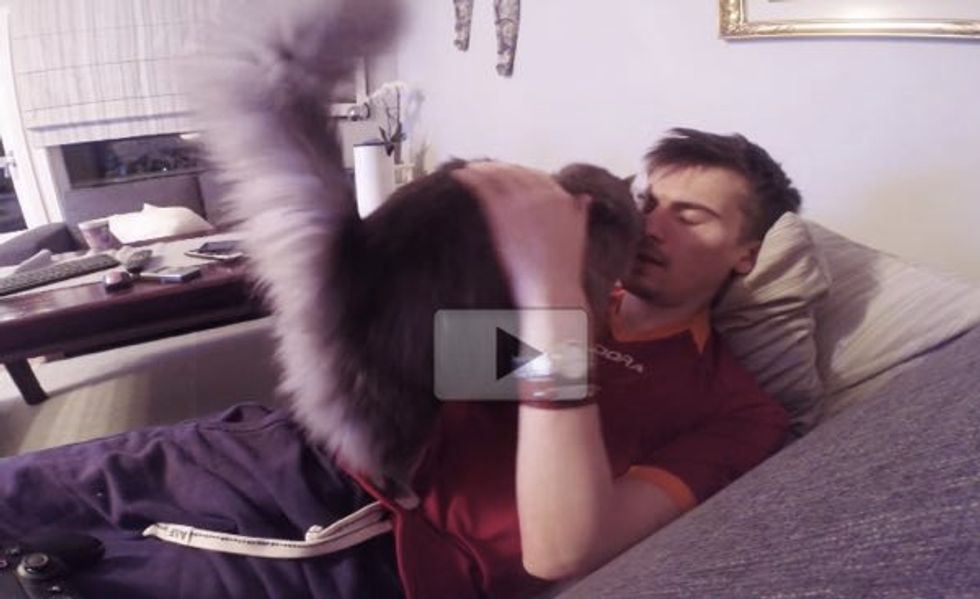 Fluffy Cat Won't Let Her Human Dad Play Video Games Alone. He Finds a Way to Compromise...