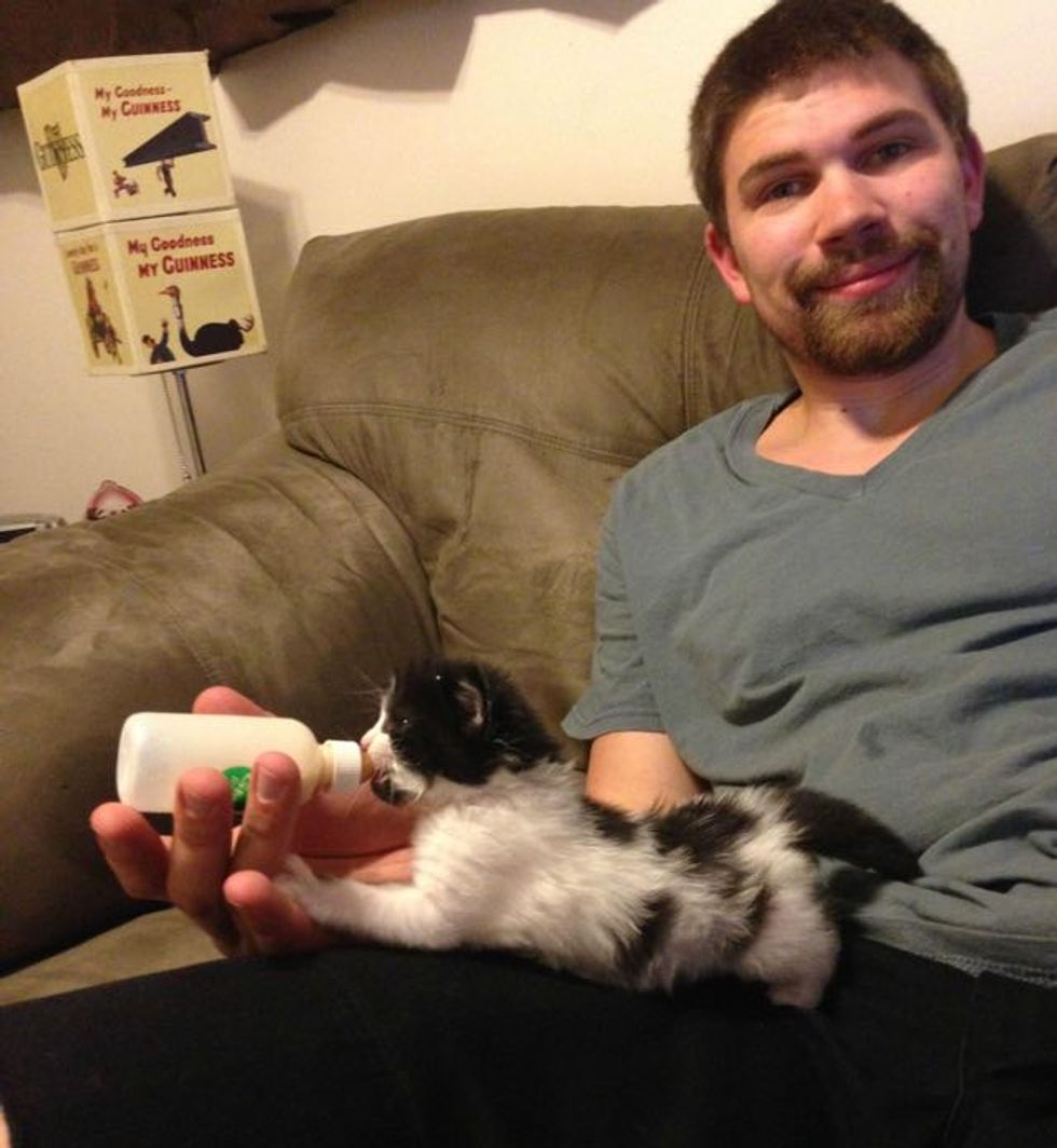 Man Saves 5-day-old Kitten and Becomes Her New Papa - Love Meow