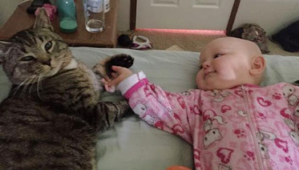 Kitty Found His Human Mom When She was Pregnant. Now He and the Little Baby are Inseparable!
