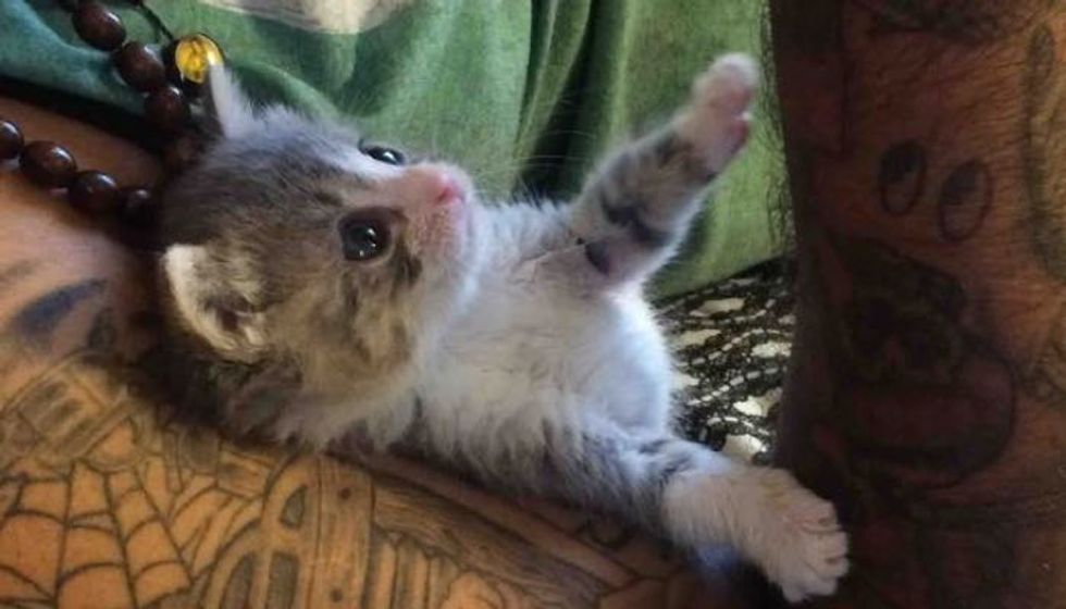 Tiny Orphan Kitten Changes Man. Now They Can't Be Away From Each Other!