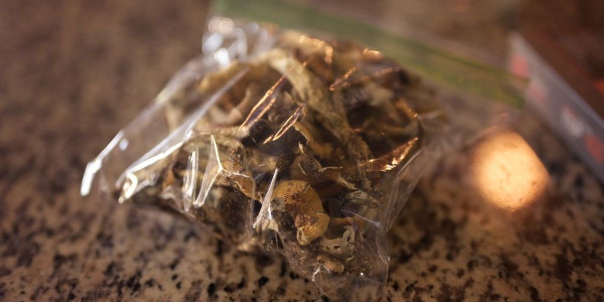 NextImg:2 Las Vegas men busted by undercover officer for trying to sell 100 pounds of magic mushrooms: Report