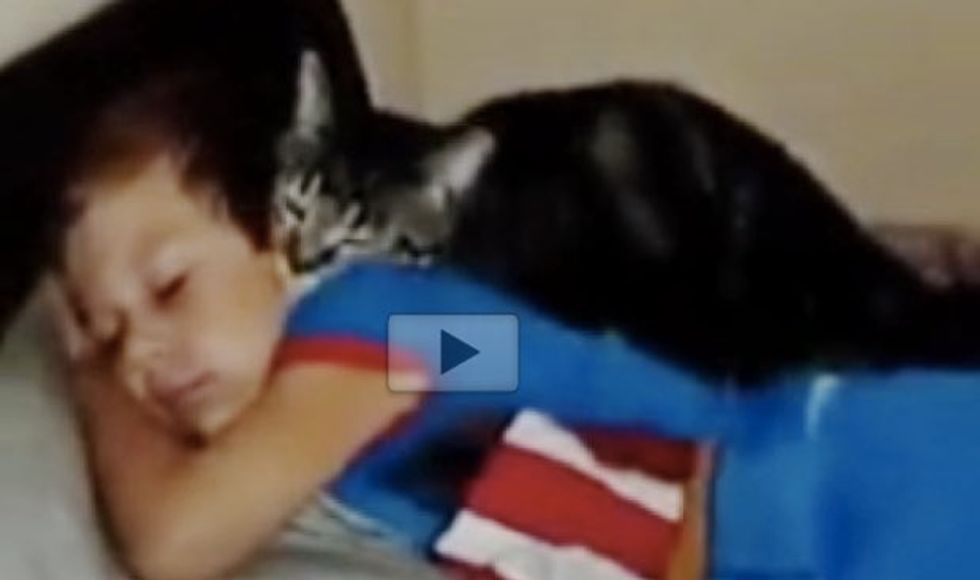 Cat Missed His Human Bestie. The Love He Gives When the Boy Returns Home!