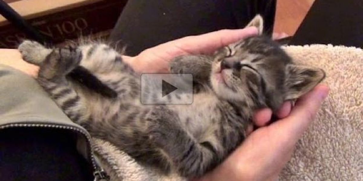 Foster Baby Blissed Out in Love and Trust. This is Heart Tugging