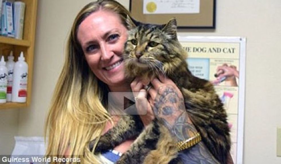 Corduroy is Now the World's Oldest Living Cat at 26. That's 120 in Cat Years!