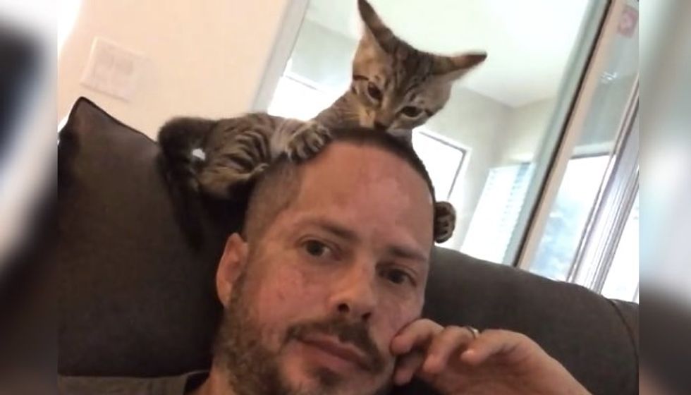 Foster Kitten Gives Dad a Kitty Hair-cut