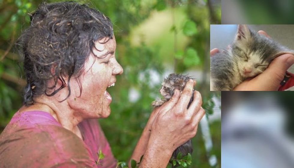 Rescuer Went to Heroic Lengths to Save Kitten from Drain Pipe as Water was Rising