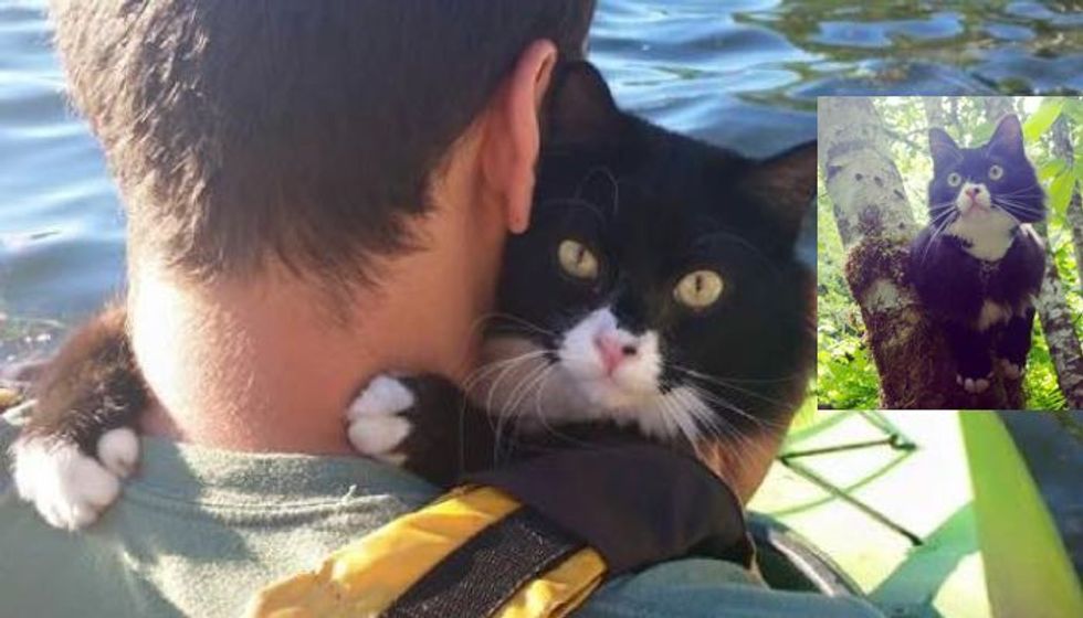 Adventurous Hiking Cat Takes His Humans on a Journey They Never Expected