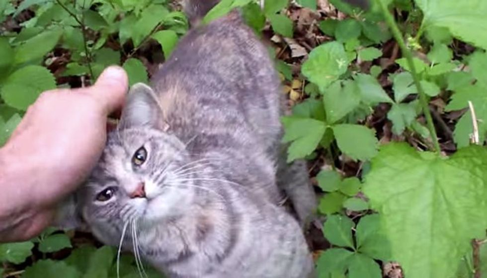 Man Went into Woods but Came Out with a Cat He Rescued