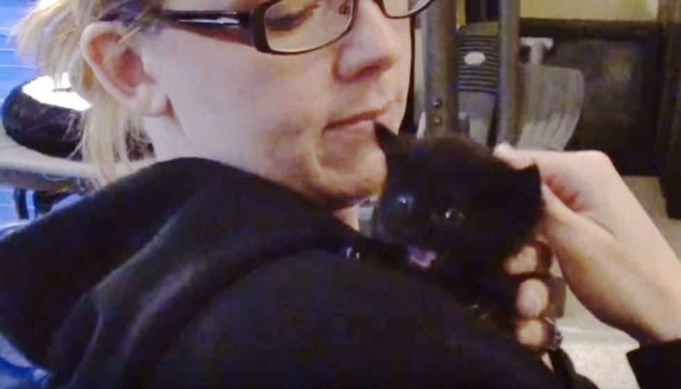 Tiny Rescue Kitten and His First Bath