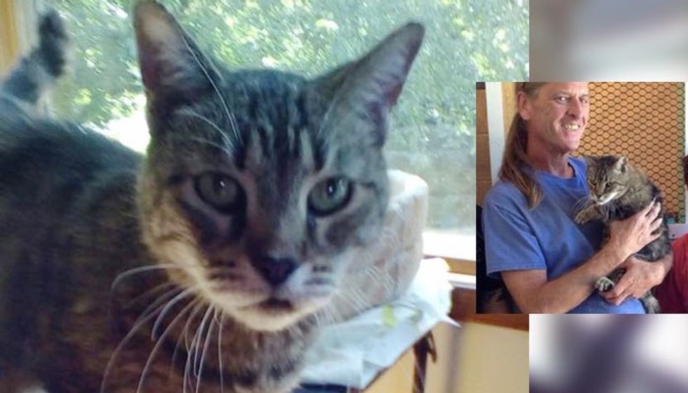 After 12 Years in Shelter, Cat Finally Found Her Forever Human