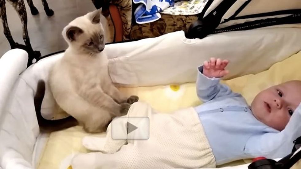Kitty Helps Calm Excited Little Baby