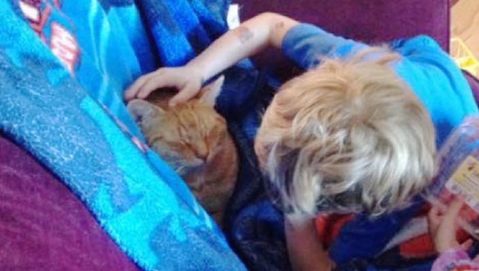 Boy Tucks in His Adopted Cat Every Time He Naps so He Knows He Has a Forever Home