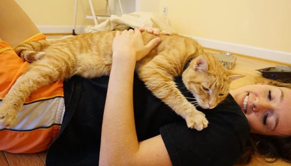 Cat too Scared to Leave His Box at Shelter, Then 3 Hours After Adoption...