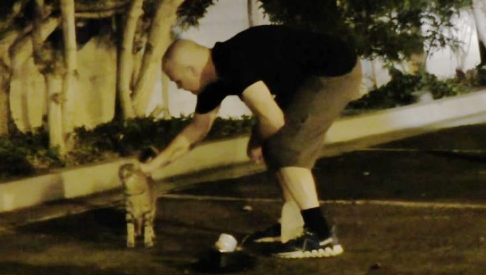These Guys Feed Over 100 Feral Cats Every Night