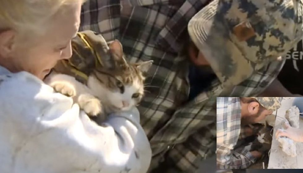 Landscaper Works Tirelessly to Save Cat Caught Under Cement