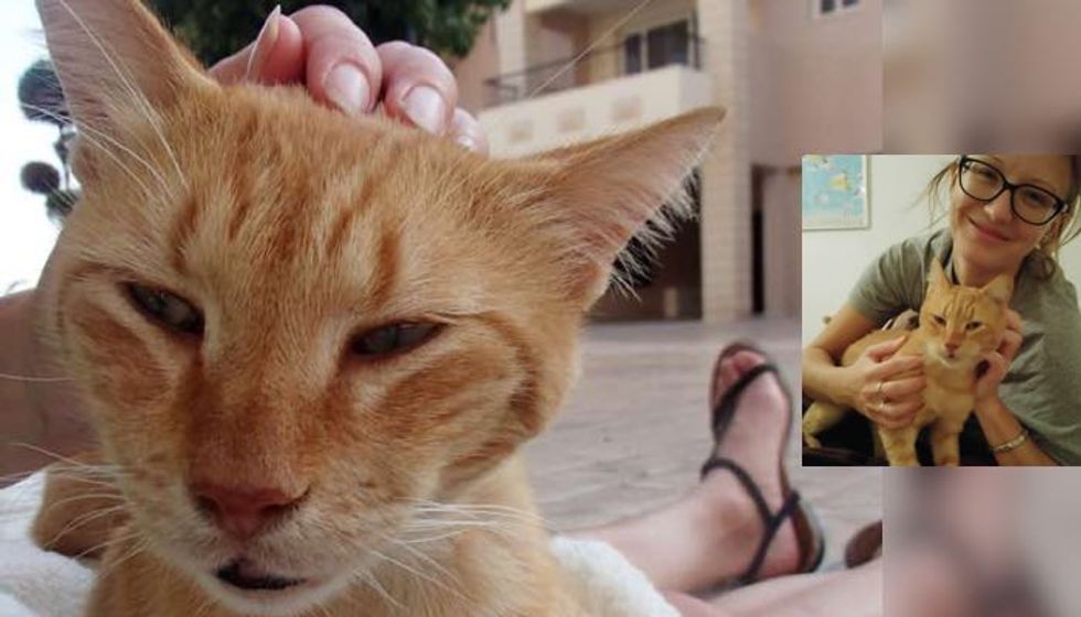 Island Cat Bonded with Kind Woman Who is Determined to Save Him