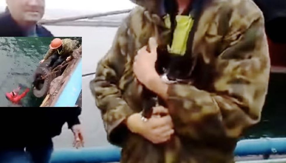Heroic Man Jumps in Icy Water to Rescue Kitten Stuck in Cargo Boat