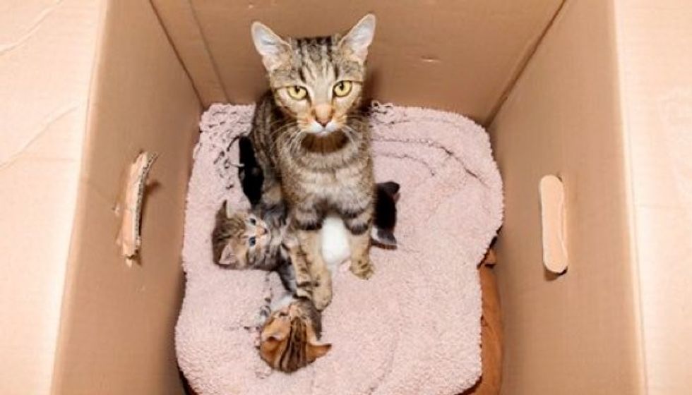 They Were Surprised by What They Found Inside a Discarded Box