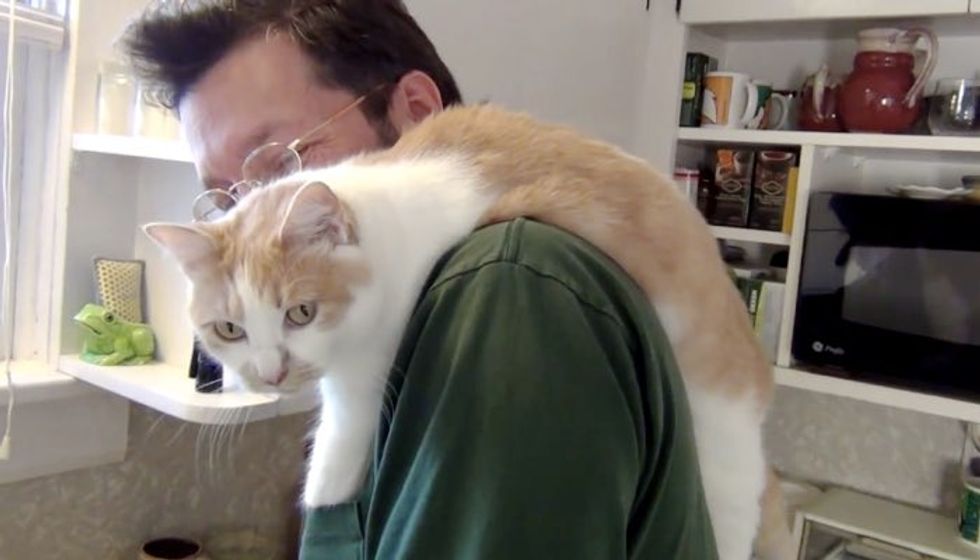 Cat Supervises Her Human Across Shoulder While He Does Chores