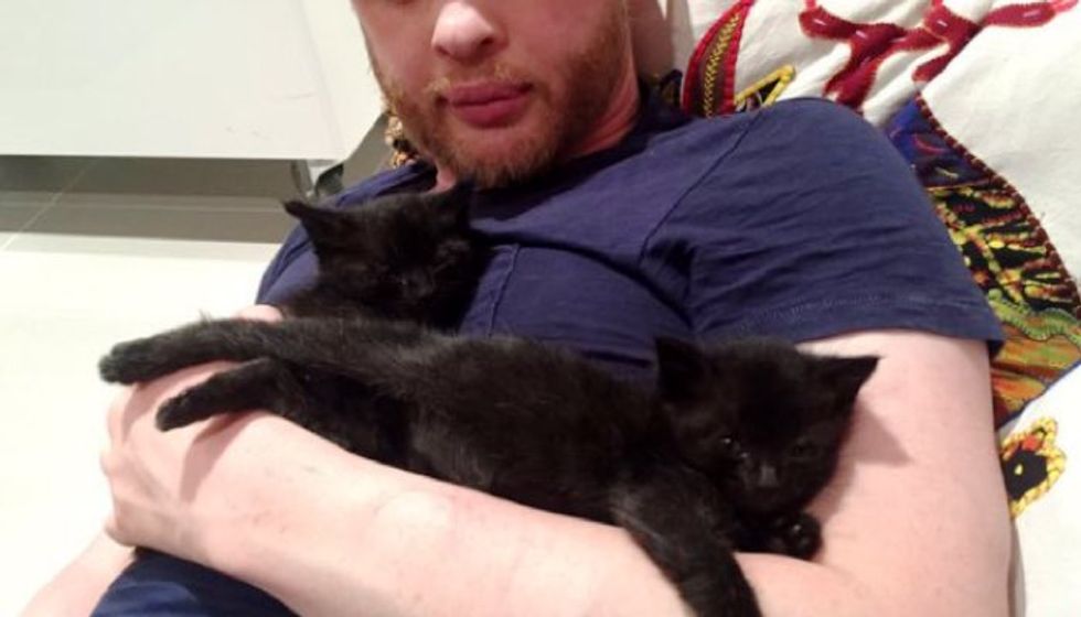 Two Kittens Found in Garbage Truck Now Has a New Dad to Nurse Them