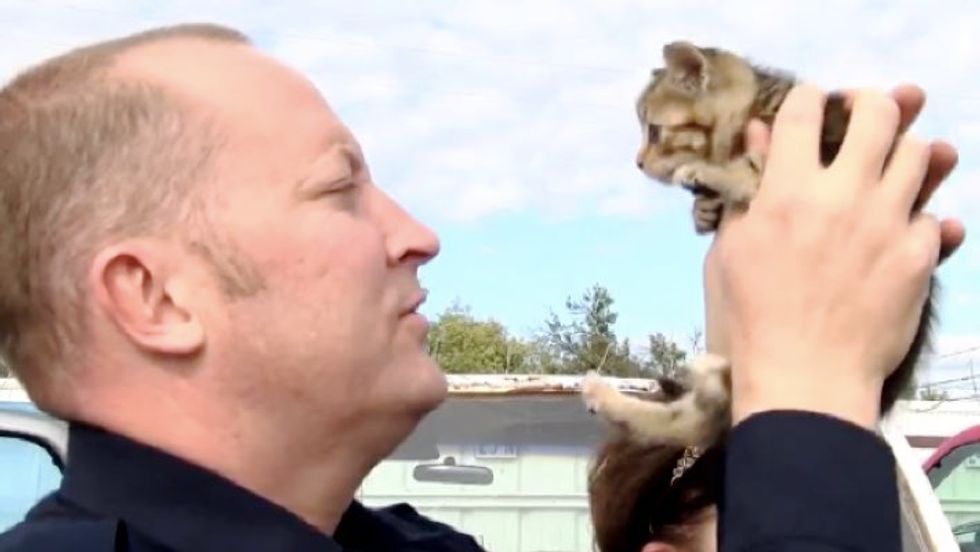 Two Kittens Saved by Officers from Impound Lot