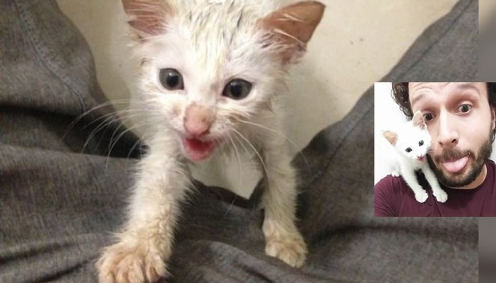 Man Spotted Kitten in Trashcan Outside His Work, Knew He Had to Help