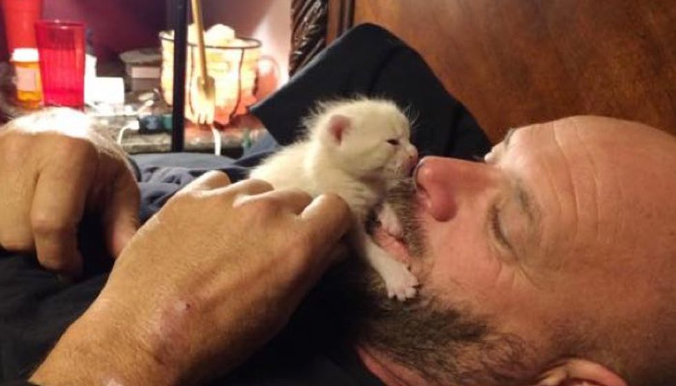 Man Rescues Orphaned Kitten and Becomes Her New 'Mom'