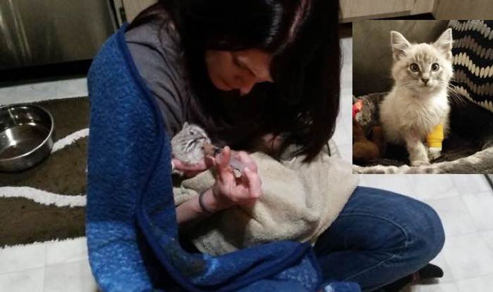 Vet Tech Fought for Kitty Even When Others Had Lost Hope, Then a Miracle!