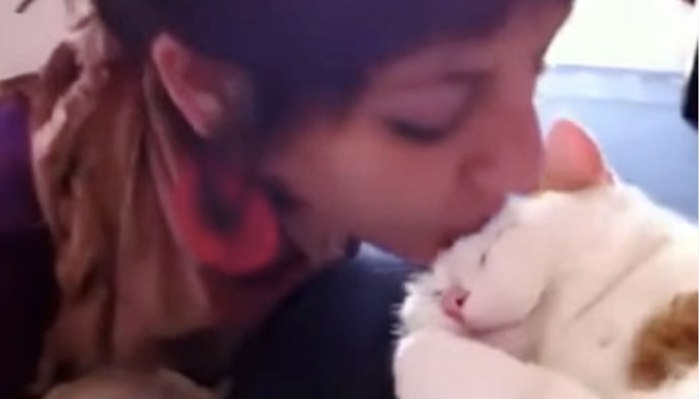 Kitty Meows for More Kisses on the Forehead