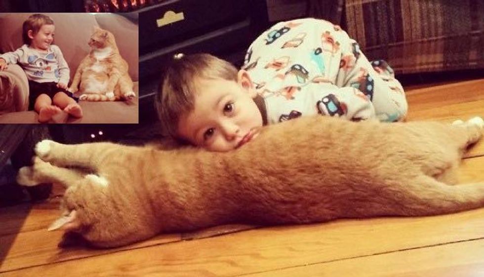 'Unwanted' Ginger Cat Becomes Guardian to Boy, His Human for Life...