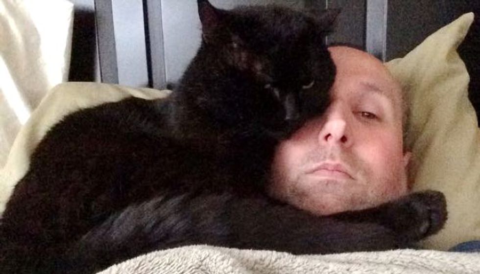 Cat Spent Most of His Life as a Stray Until He Found this Man