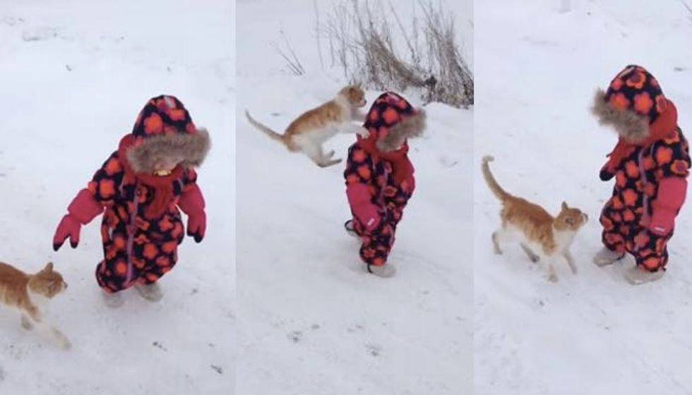 Cat Wants Hugs from Little Human and Won't Take No for an Answer