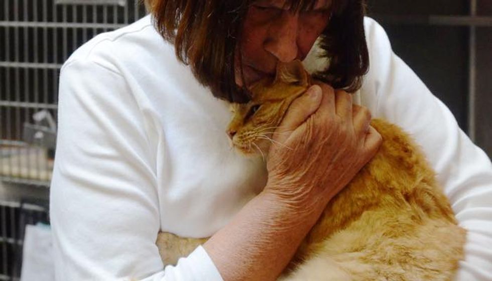 They Waited 8 Years Finally Reunited with Missing Cat Thanks to a Man